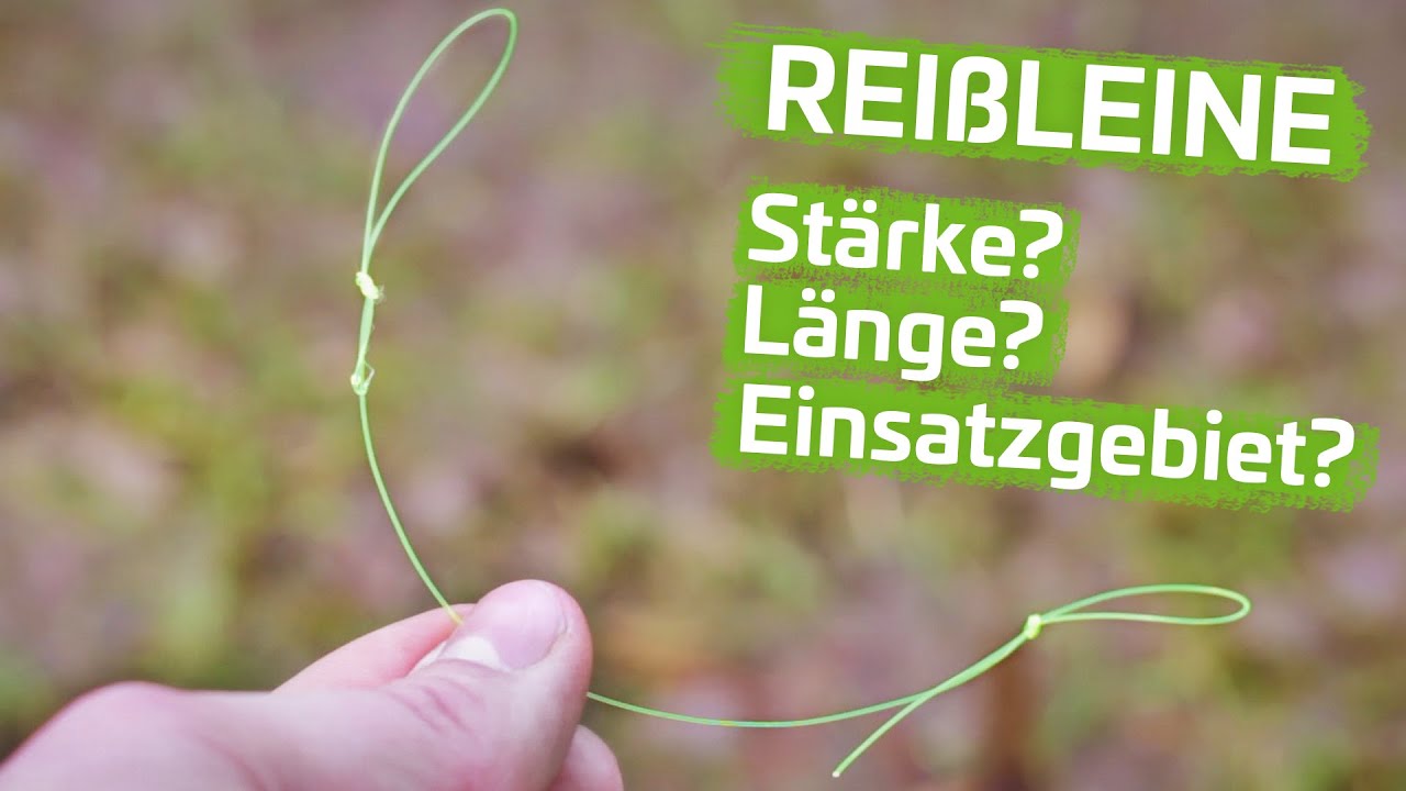 0,03€/1m Abrissleine für Reißleine für Wallermontagen Zeck Break Line 100m 0,03€/1m Abrissleine für Reißleine für Wallermontagen Zeck Break Line 100m