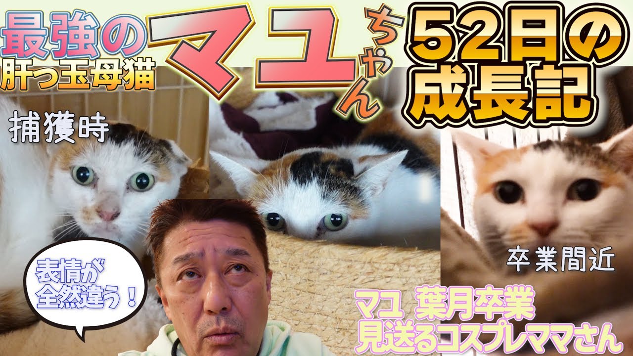 肝っ玉母さんマユ 葉月ついに引越し!残る仲間たちにママさんスペシャル生声お世話!今日もトレーラーハウスにドラマがいっぱい!!