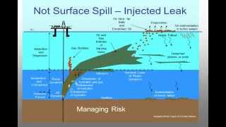 Macondo Gulf of Mexico Oil Blowout as Seen in The TV Media