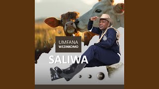 INsizwa noMansizwana