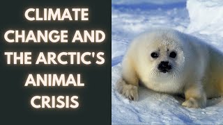The Melting World: Climate Change and the Arctic's Animal Crisis