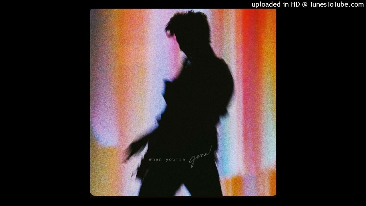 Shawn Mendes - When You're Gone (Instrumental)