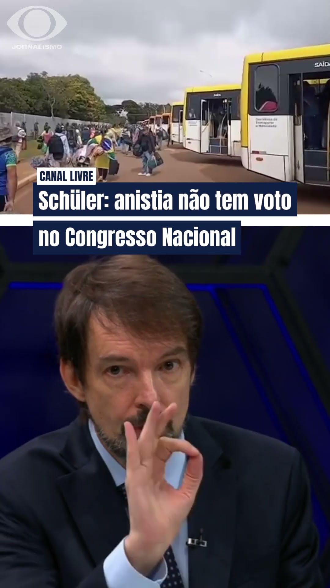 Anistia não tem voto no Congresso Nacional, diz o cientista político Fernando Schüler #shorts