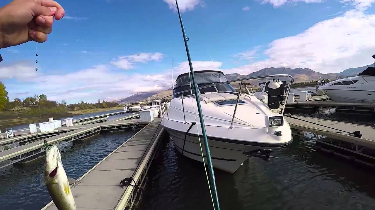 Fly fishing Pineview Reservoir Utah YouTube