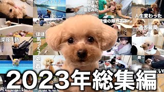 【2023年総集編】各動画のリプレイ回数が多かったシーン集！