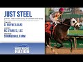 How to bet the Kentucky Derby: Just Steel
