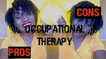 What are the biggest issues in occupational therapy?