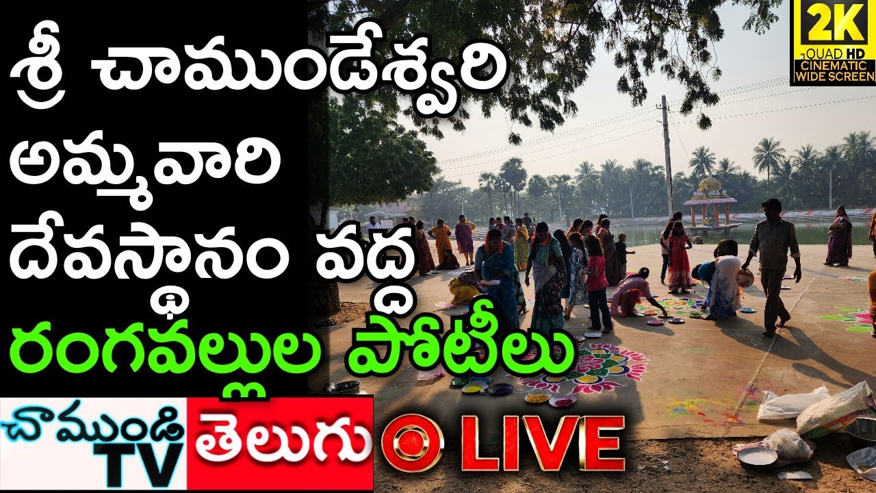 LIVE 🛑 శ్రీ చాముండేశ్వరి దేవస్థానంలో కనుమ సందడి: అద్భుతమైన ముగ్గుల పోటీలు! |CHAMUNDITV