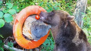 Мансуркины вкусности🍉🍅