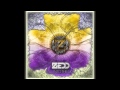 Zedd Fall Into The Sky Feat Ellie Goulding Mayeda Remix mp3