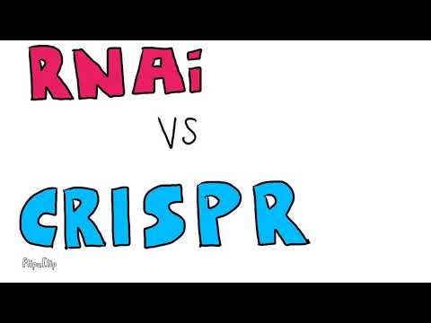 Video: Forskjellen Mellom CRISPR Og RNAi