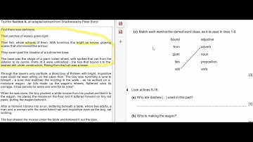 2022 stage 6-paper 2-english-progression test-questions-w/ answer explained primary past papers-easy