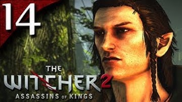 The Witcher 2: Assassin of Kings - Enhanced Edition [HD/Blind] Playthrough part 14