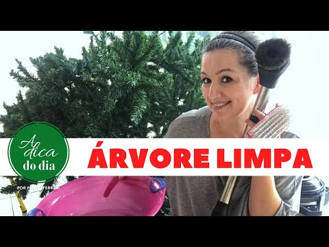 Vídeo: Como Restaurar A árvore