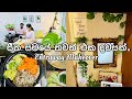 Entryway makeover 🍃|meal prep| planting tips🍃| day in my life | life in japan 🇱🇰🇯🇵