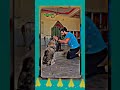 viral shorts god status 😍😍 30 million views and likes #dog