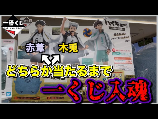 一番くじ ハイキュー!! 全国への道 木兎 赤葦 一番くじ ハイキュー!! ～全国への道～｜一番くじ倶楽部｜BANDAI