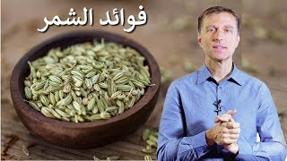 فوائد ومخاطر بذور الشمر | دكتور بيرج