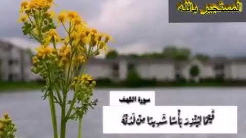 الحمد لله الذي انزل علي عبده الكتاب ولم يجعل له عوجا    بصوت الشيخ فارس عباد    حالات واتساب سورة ال