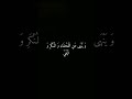 إن الله يأمر بالعدل والإحسان كروما قرآن شاشة سوداء إن الله يأمر بالعدل والإحسان كروما قرآن شاشة سوداء