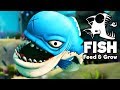 Feed and Grow Fish Gameplay German - Größter Piranha Der Welt