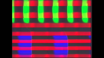 3TrinsRGB+1c 3.2.2015 (PAL capture with DFG/1394)