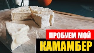 Домашний сыр из молока. Камамбер Домашний сыр из молока. Камамбер
