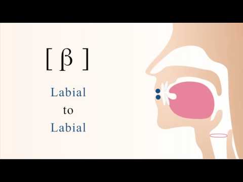 [ β ] voiced bilabial non sibilant fricative