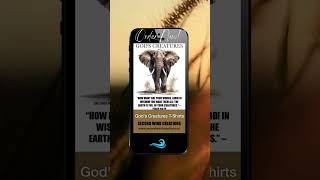 Elephant on phone video