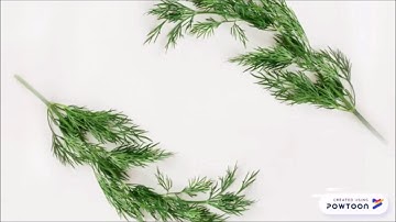 Symmetric vs Asymmetric (Multiprocessing)