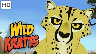 Wild Kratts  Cool Cats | Kids Videos