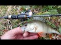 arukazik japan hi-revolution s58 the pianissimo. Перші враження. 🎣🦈