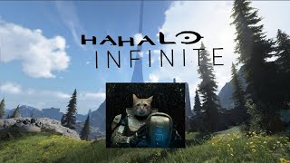 играю в hahalo infinite 13 мину (helo infinite)