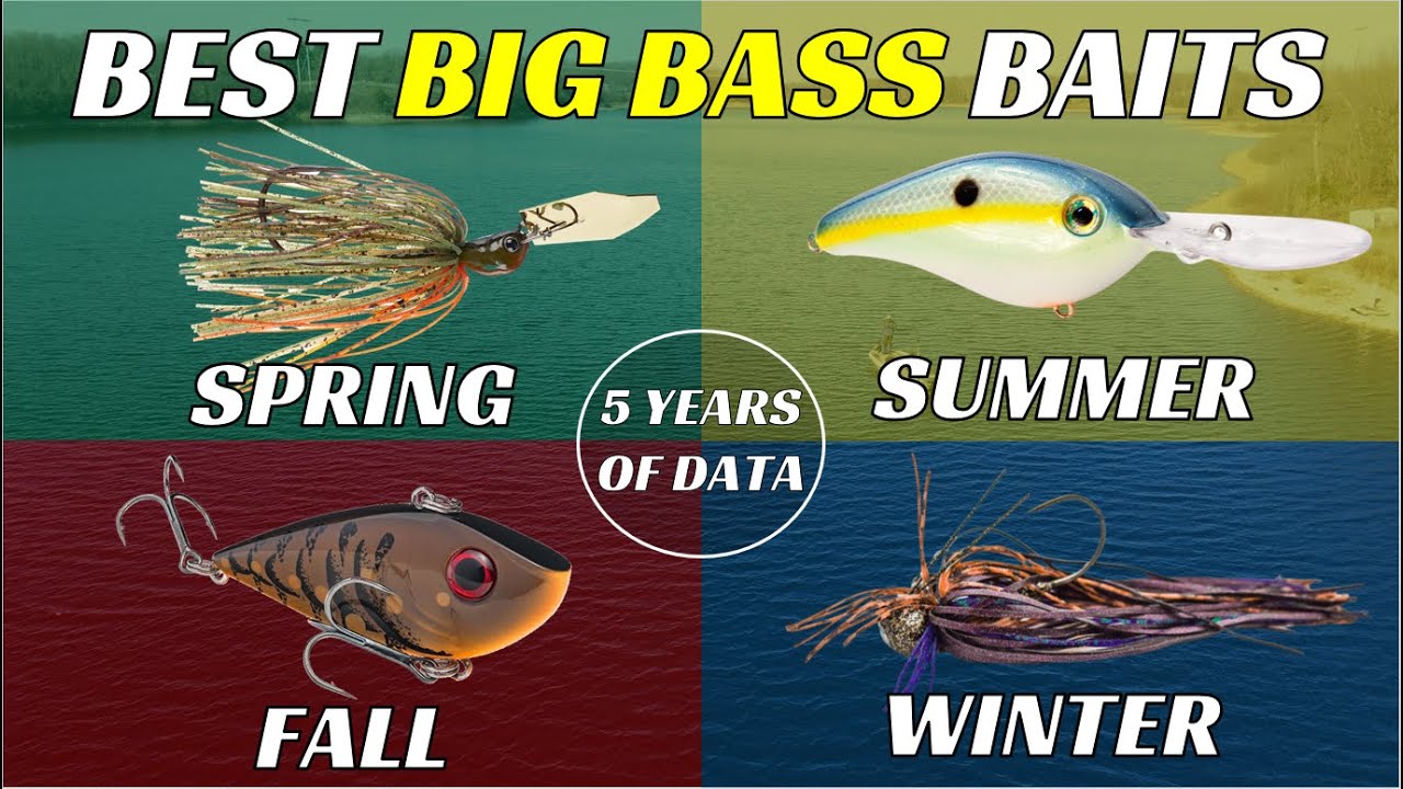 Best Lures for Big Bass Backed By 5 Years Of Data