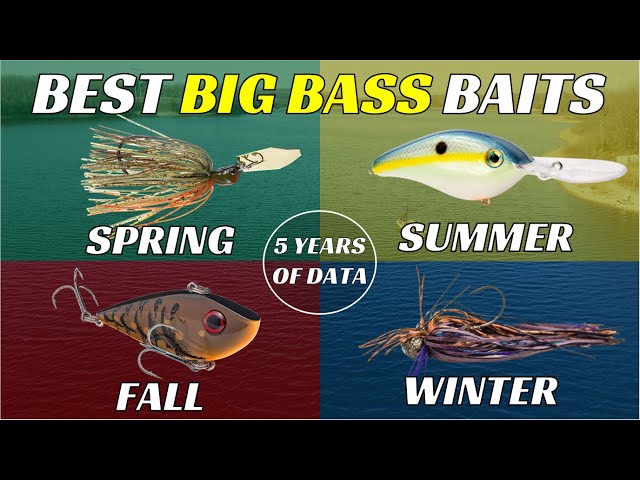 Best Lures for Big Bass Backed By 5 Years Of Data