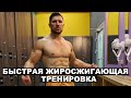 БЫСТРАЯ ЖИРОСЖИГАЮЩАЯ ТРЕНИРОВКА НА КАЖДЫЙ ДЕНЬ