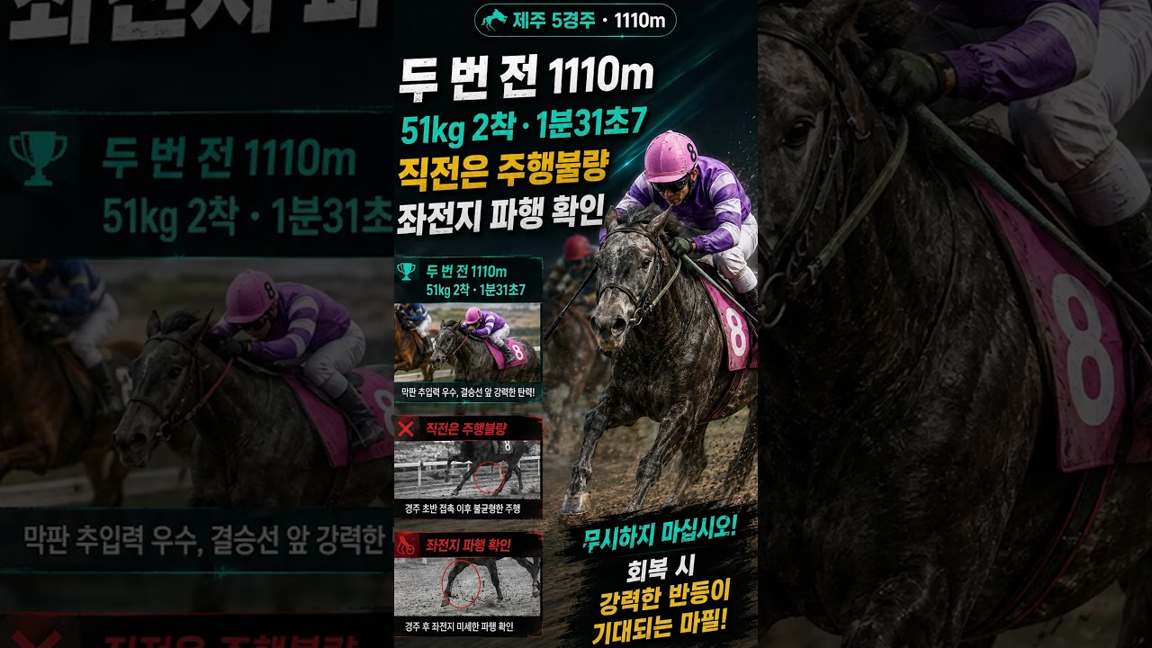 8.21(금) 제주 5R｜51.5kg의 비밀, 그리고 직전 8착에 숨은 진실