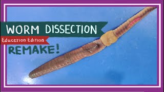 Worm Dissection Remake If You Cut A Worm In Two Edu