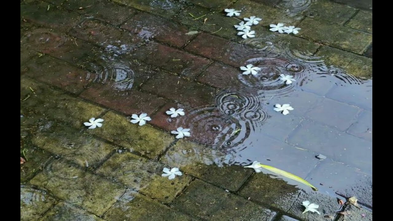 *FREE* A$AP Rocky x Lucki x Twstr Type Beat "In The Rain"