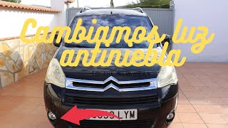 Antiniebla de Citroën berlingo