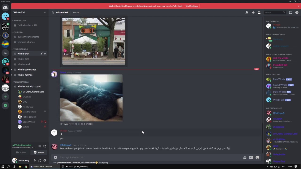 loud mic discord download loud mic discord download