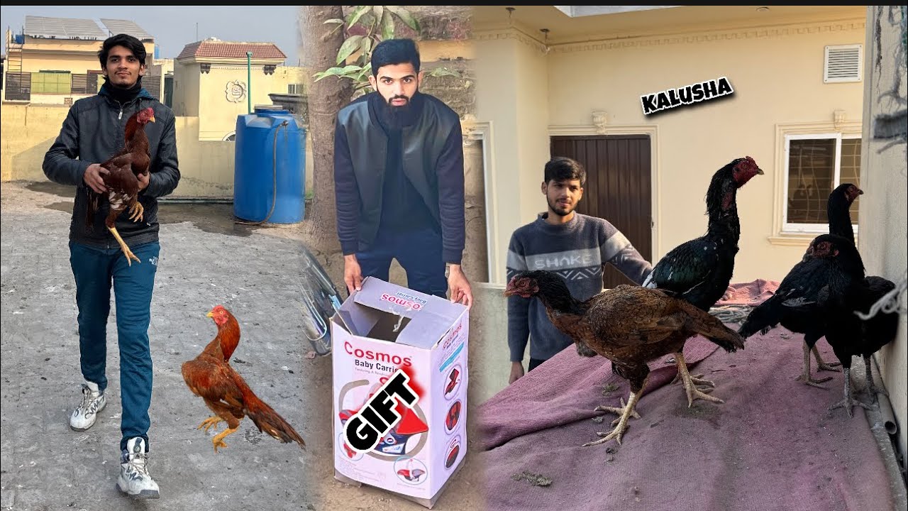 Kalushah ki puri family gift mil gai 😱