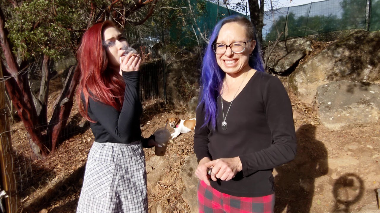 Slurri-crasher smoke sesh!! 23.44% THC 💚 pre-recorded 12- 2020