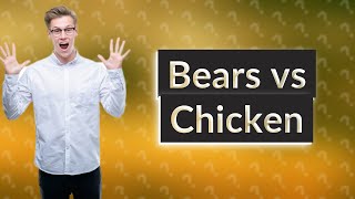 Do bears like chicken food?