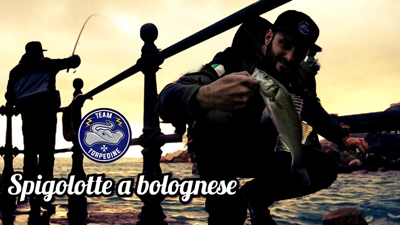 Pesca a Bolognese in mare - Spigole in trattenuta col bigattino.