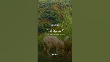 سورة العنكبوت❤️❤️#القرآن_الكريم #قرآن #سورة_العنكبوت #عبدالرحمن_مسعد #اذكار_الصباح #اذكار_المساء #حب