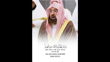 تلاوة مباركة خاشعة بصوت يلامس القلوب #اكسبلور #المصحف #راحة_نفسية #القران #لايك #خطبه #حالات_واتس