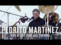 Pedrito martinez live at the exit zero jazz festival  jazz night in america