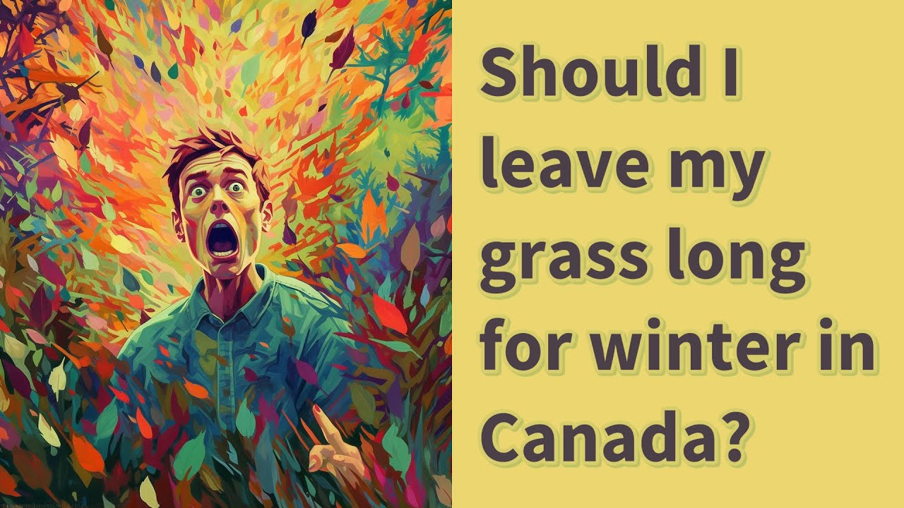 Should I Leave My Grass Long For Winter In Canada YouTube should-i-leave-my-grass-long-for-winter-in-canada-youtube