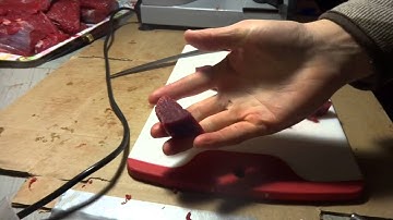 Moose Butchering Basics Part 2